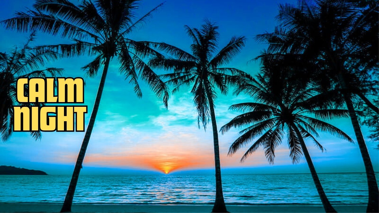 Gentle Reggae for Sleep 🌊 Peaceful Ocean Night Vibes