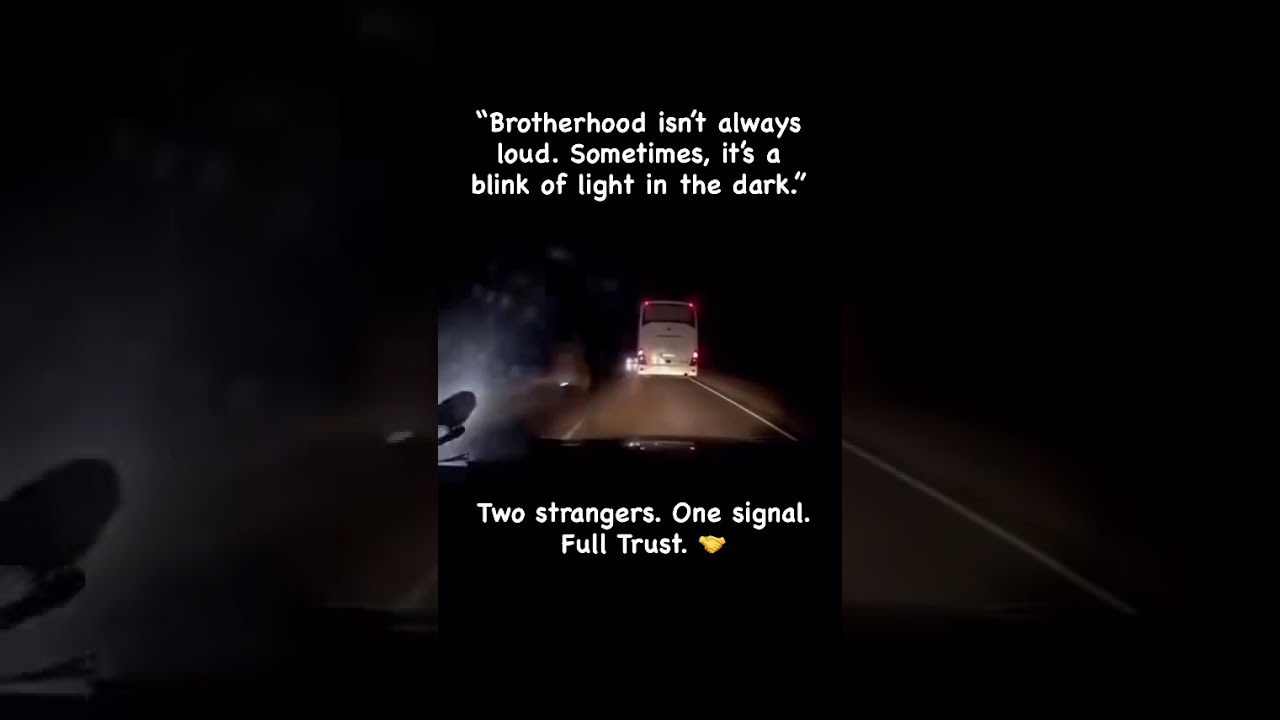 #every #driver #knows #saftybelt #roadtrip #light #signal #caution #life