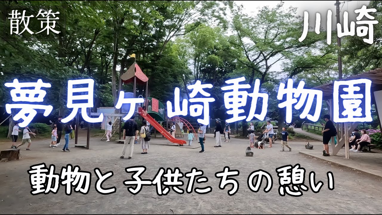 【散策】夢見ヶ崎動物園：無料で楽しむ川崎市のオアシス