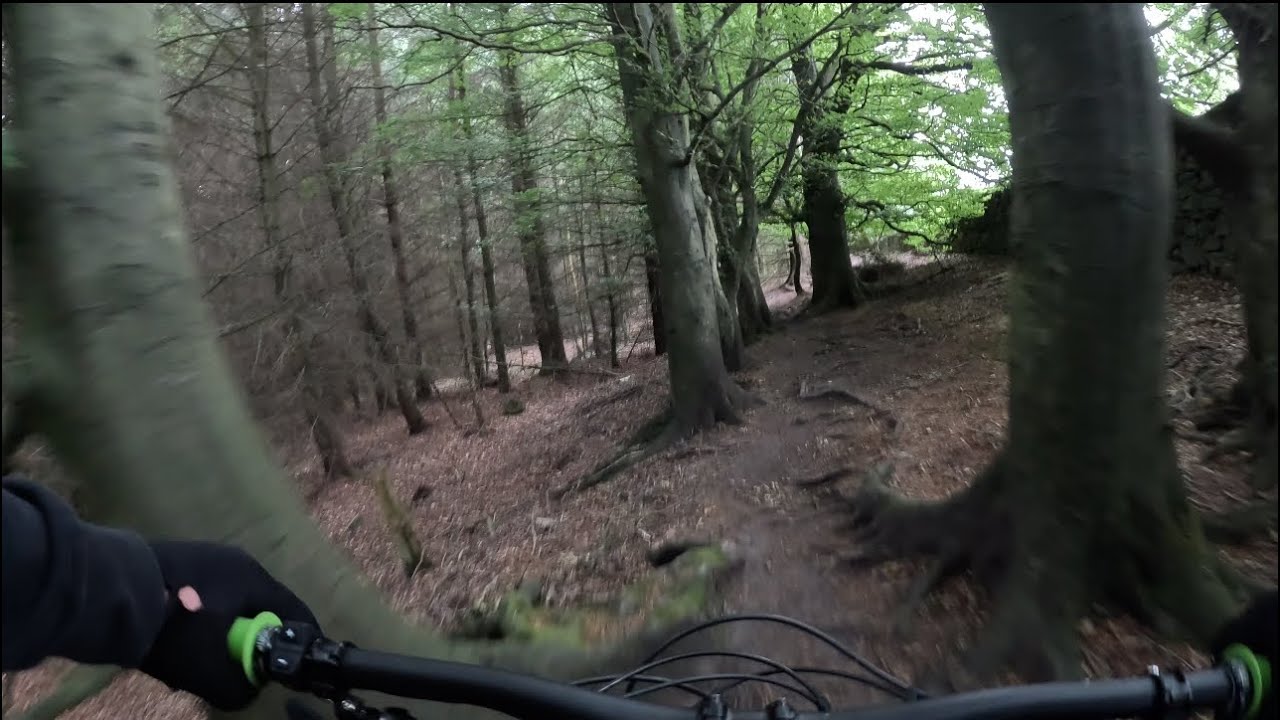 Hamsterley forest off piste into pikes teeth