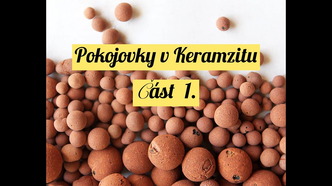 Pokojovky v Keramzitu!! Část 1.