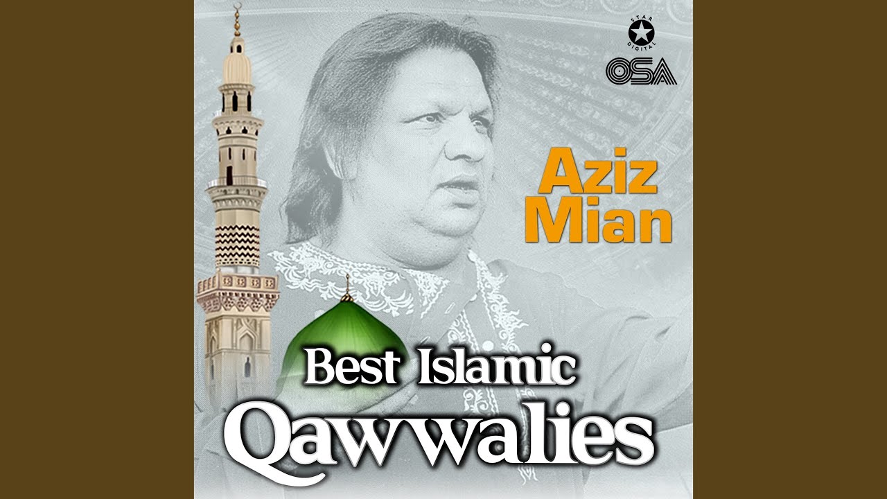 Allah Hi Jane Kaun Bashar Hai