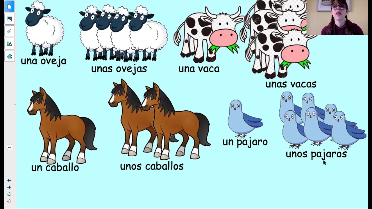 Yr 3 Spanish lesson 9b for tv