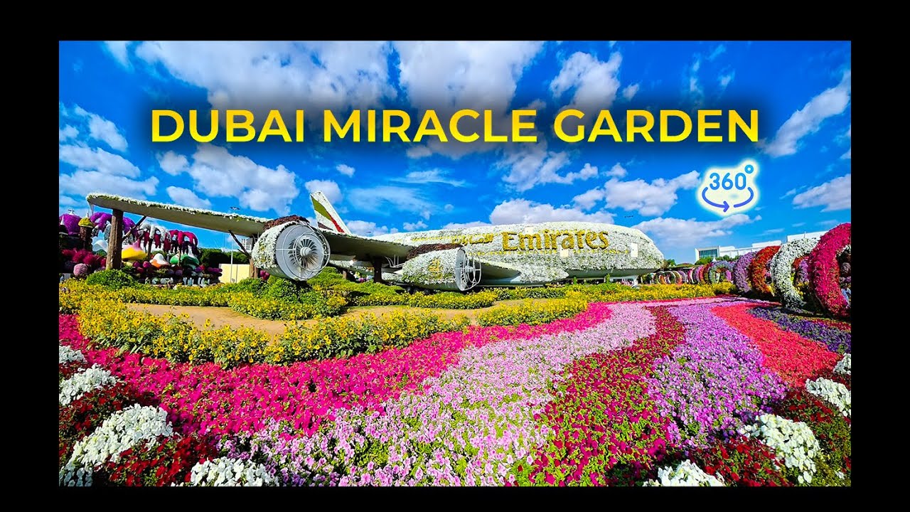 🇦🇪 Dubai Miracle Garden 🌸 360&deg; Immersive Walk | Sunny January Day | VR Walking Tour