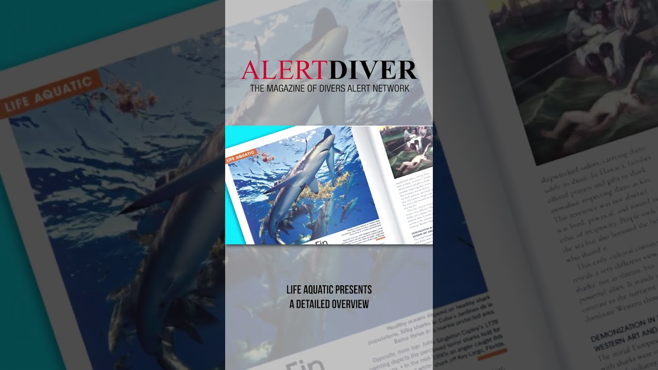 DAN Alert Diver Magazine – Q4 2025 