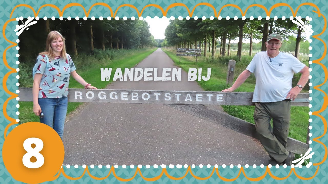 AVONDWANDELING bij ROGGEBOTSTAETE - wandelvlog 8