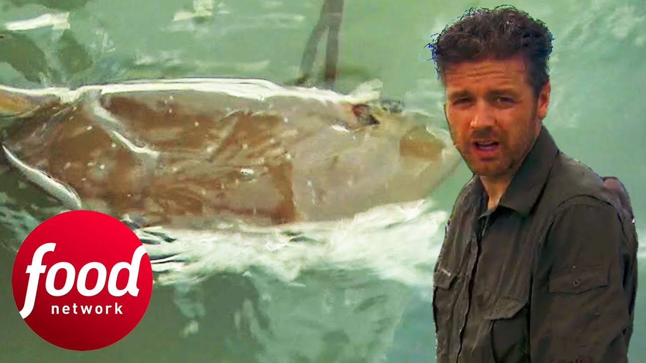 Jock Zonfrillo Hunts Stingrays With Aboriginal Tribe | Nomad Chef