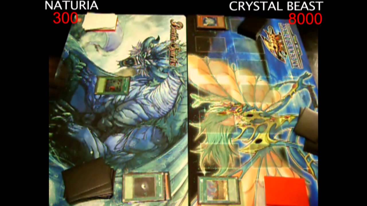 Yugioh Duel: Crystal Beast vs Naturia - Round 3