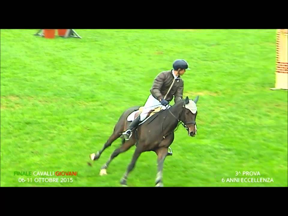Gabriele Pina - Diamant 6 anni 3 prova Eccellenza - Finali Cavalli Giovani Arezzo 2015