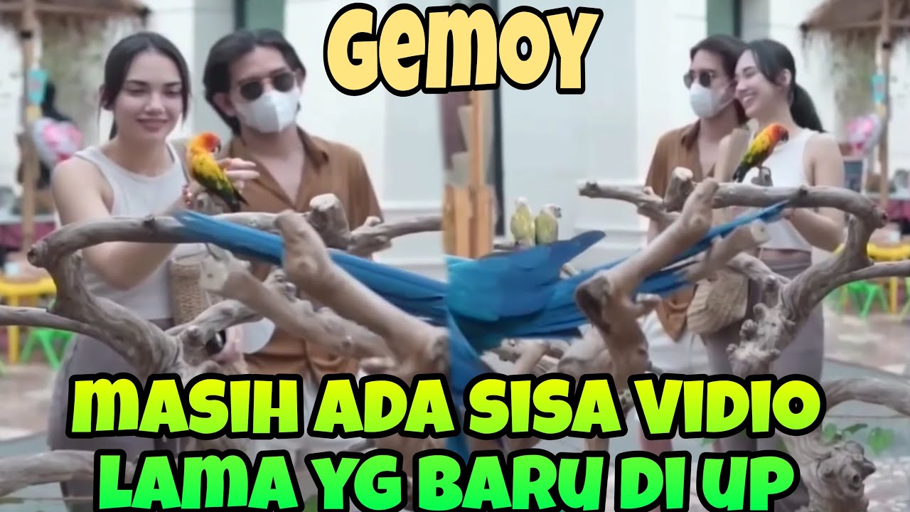 HAICO RANGGA AZOF// MASIH ADA VIDIO LAMA YG BARU DI UP SIMAK YUUK