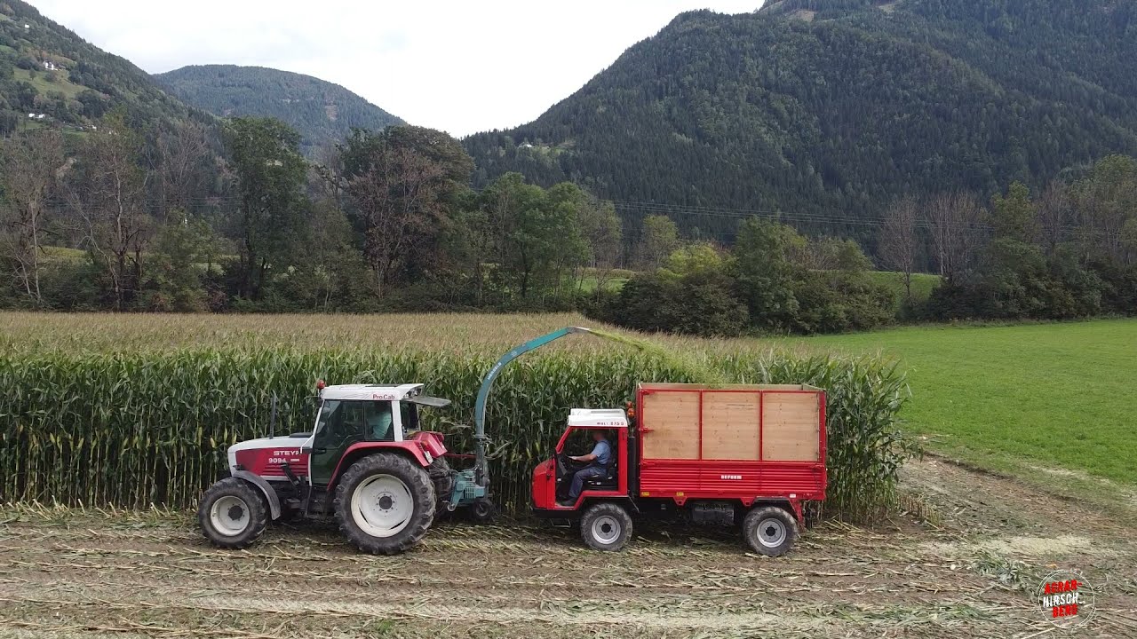 Maishäckseln mit Reform Muli 875s und Steyr 9094 im Drautal