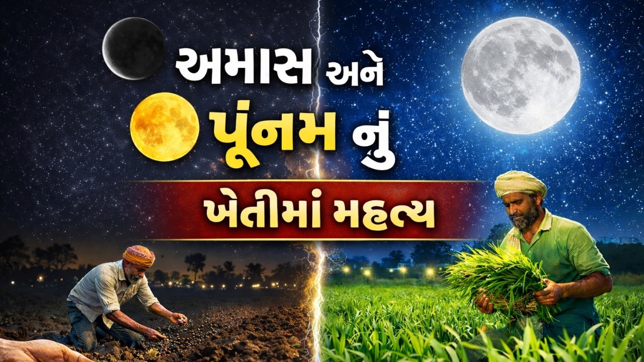 અમાસ અને પૂનમનું ખેતીમાં રહસ્ય 🌑🌕 #MoonFarming #Amavasya #Purnima #FarmerLife #KhetiNiMahiti #viral