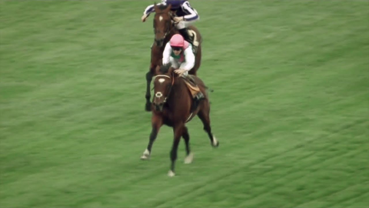 Revisiting Frankel's AMAZING Royal Ascot romp 10 years on!