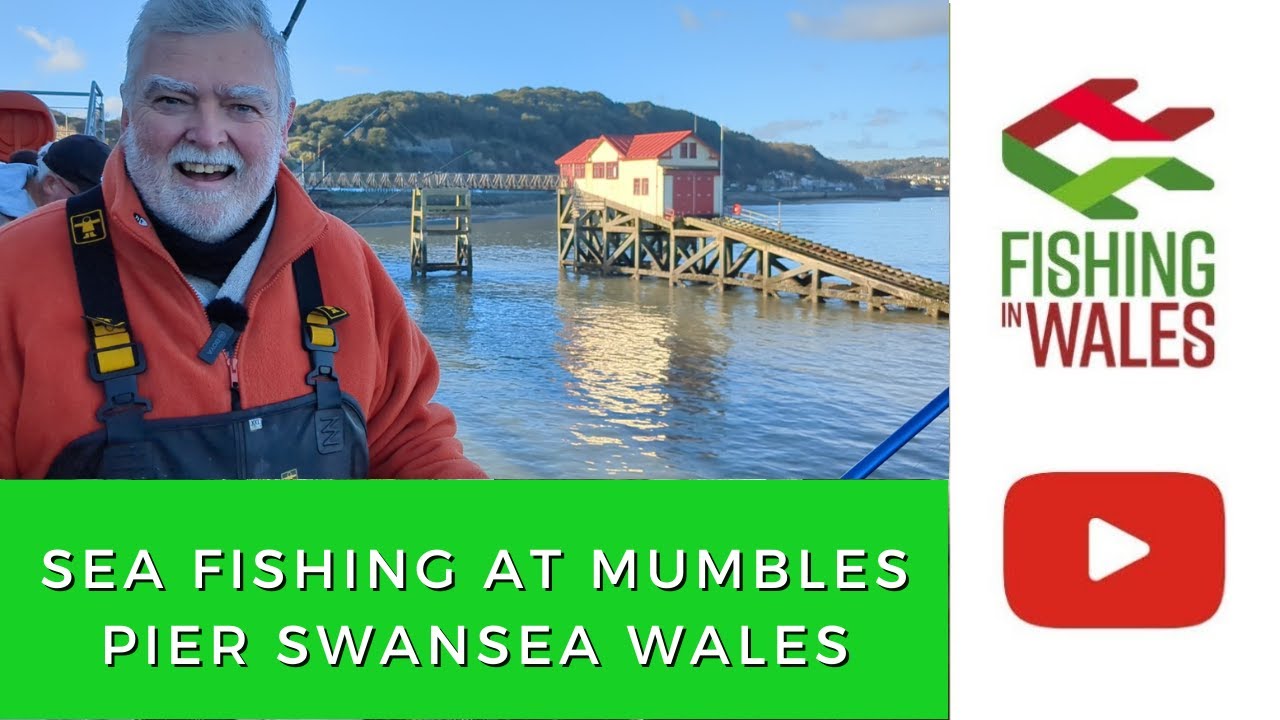 Venue Focus: Sea Fishing at Mumbles Pier, Swansea South Wales