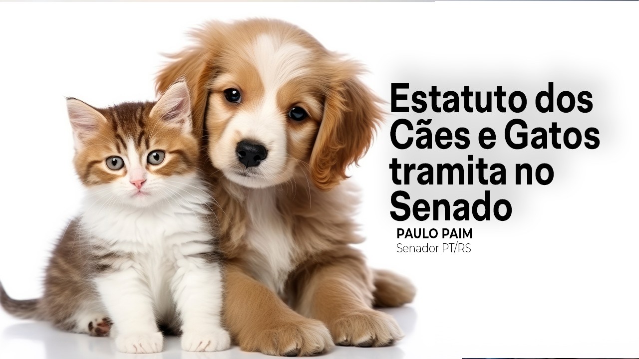 Estatuto dos Cães e Gatos tramita no Senado
