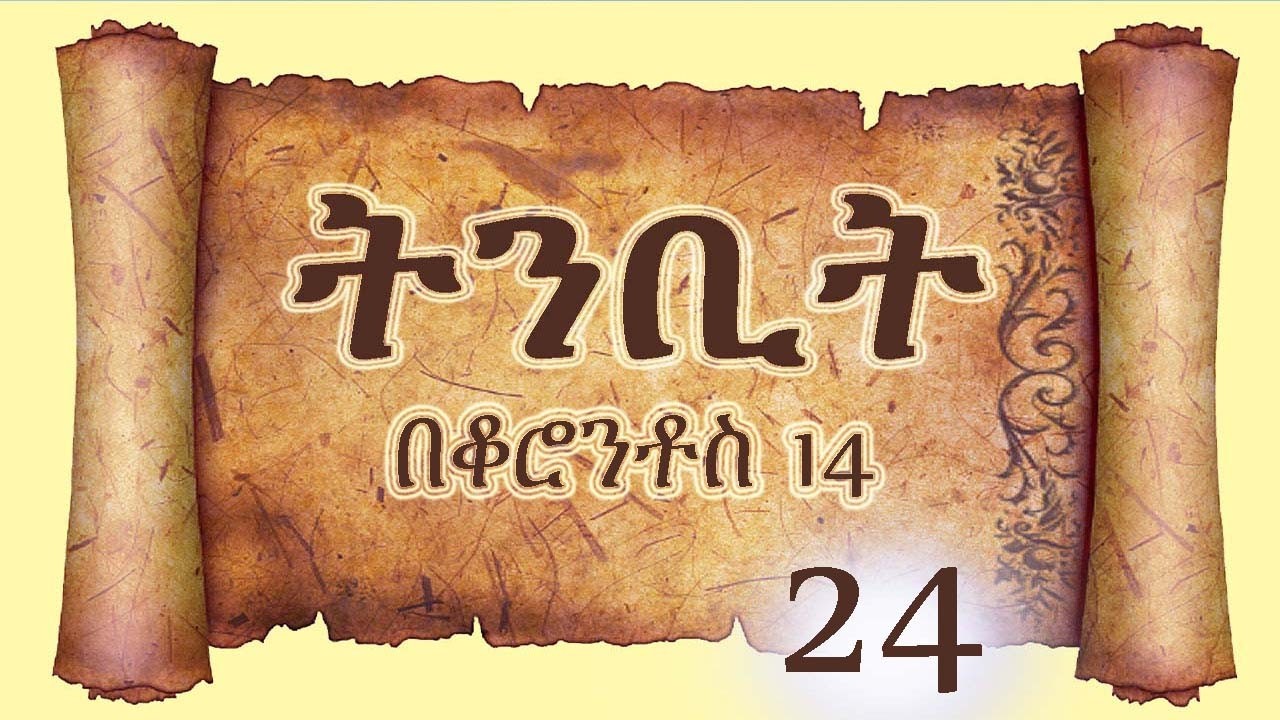 Tinbit 24