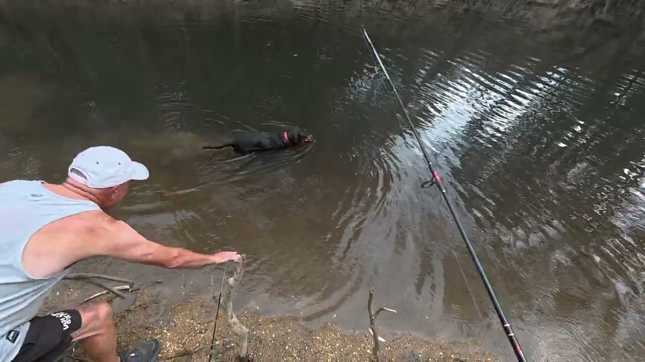 I Caught My PB Rottweiler | Fishing In The Ovens River In Wangaratta