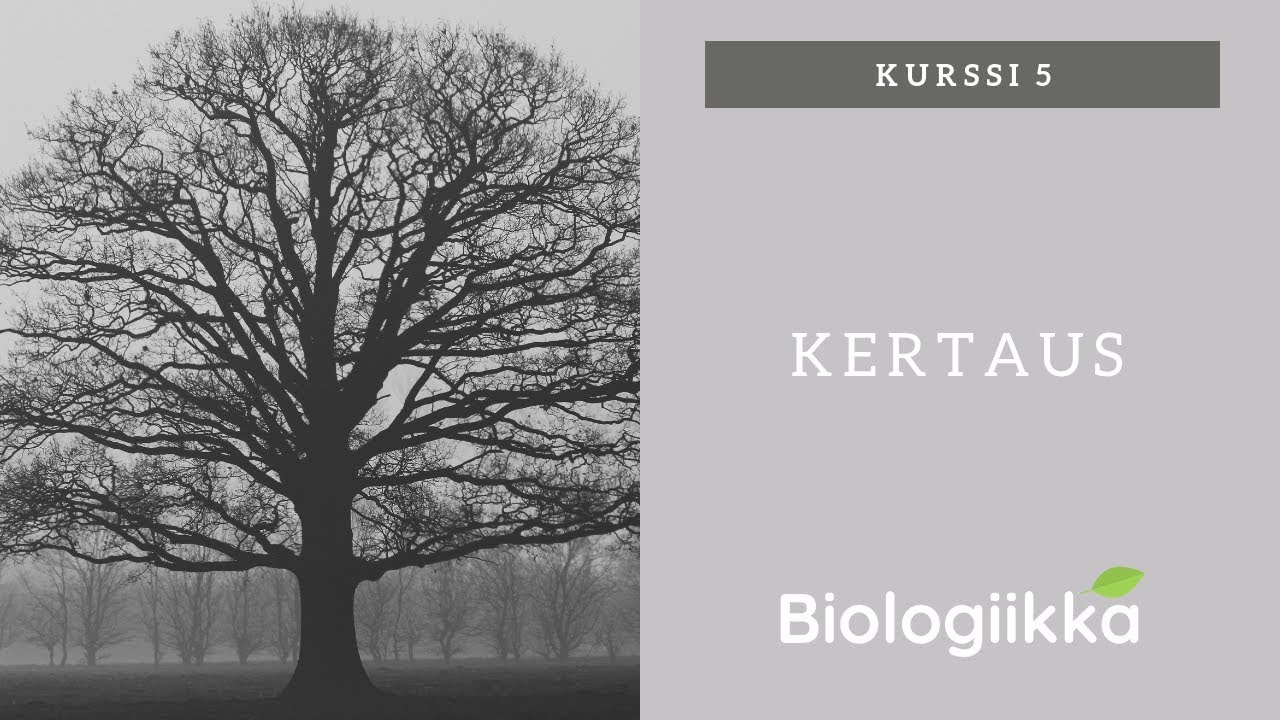 Biologian kurssi 5 tärkeimmät asiat