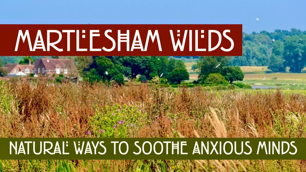 4k Relaxing walk at Martlesham Wilds Nature Reserve, Suffolk