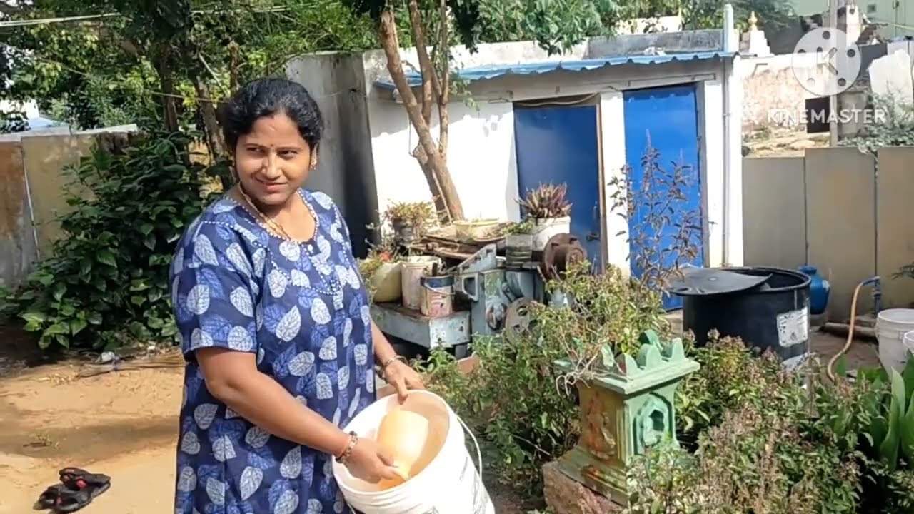  ఈ మొక్కల ప్రత్యేకత మామ చెబితేకాని తెలియదు 🌱🌳🥰