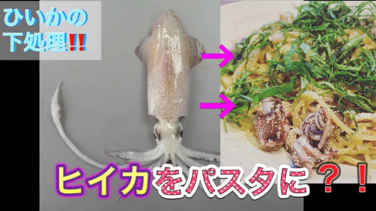 ヒイカの下処理の仕方の動画❗️からの板前が作るパスタ！？ヒイカのパスタをご紹介‼️