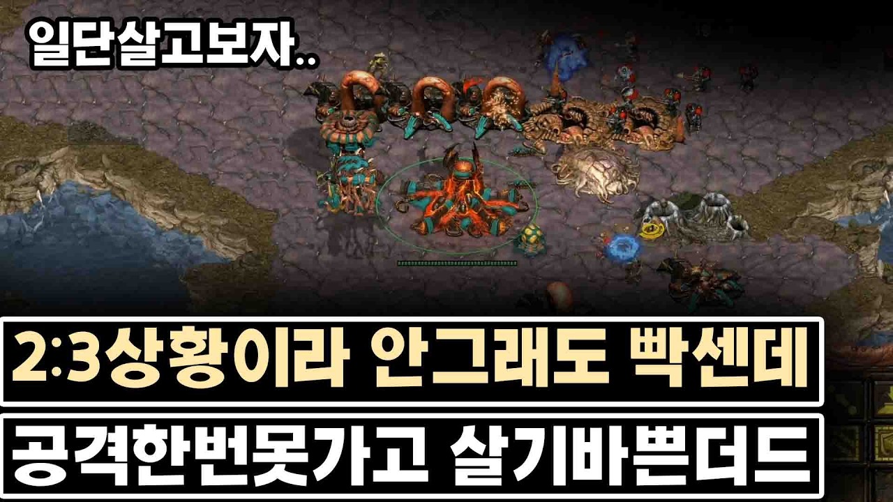 [더드튜브] 