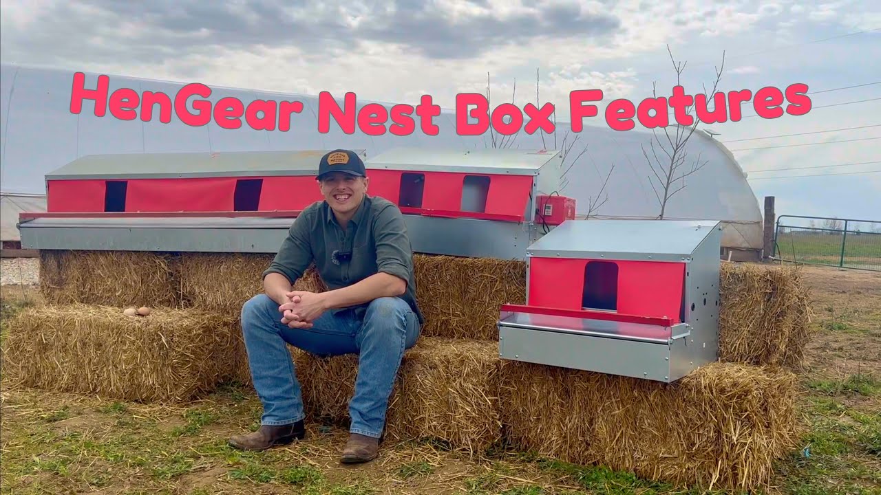 HenGear Nest Box Features: What Sets Us Apart