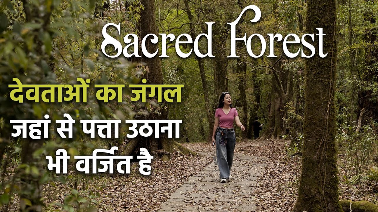 Meghalaya की Khasi Tribe के पवित्र जंगलों की कहानी | Mawphlang | Sacred Forest