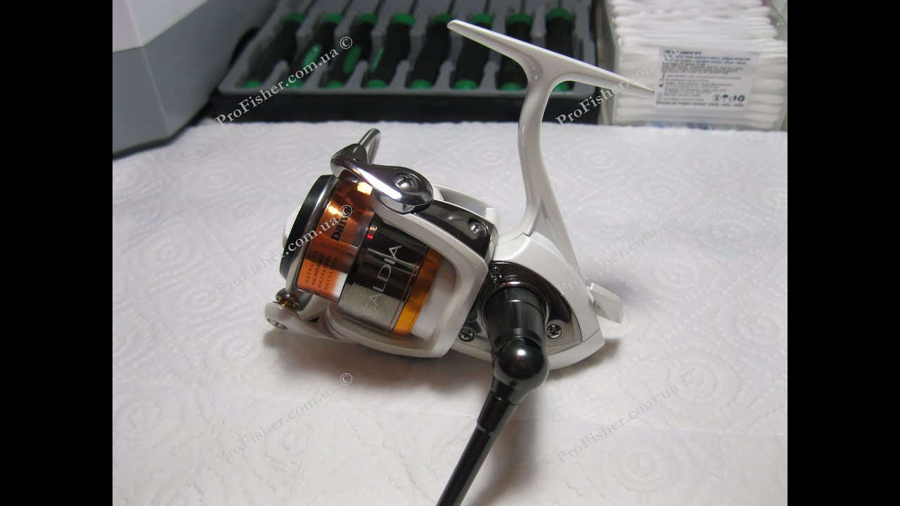 Daiwa Caldia Kix 09. 2004
