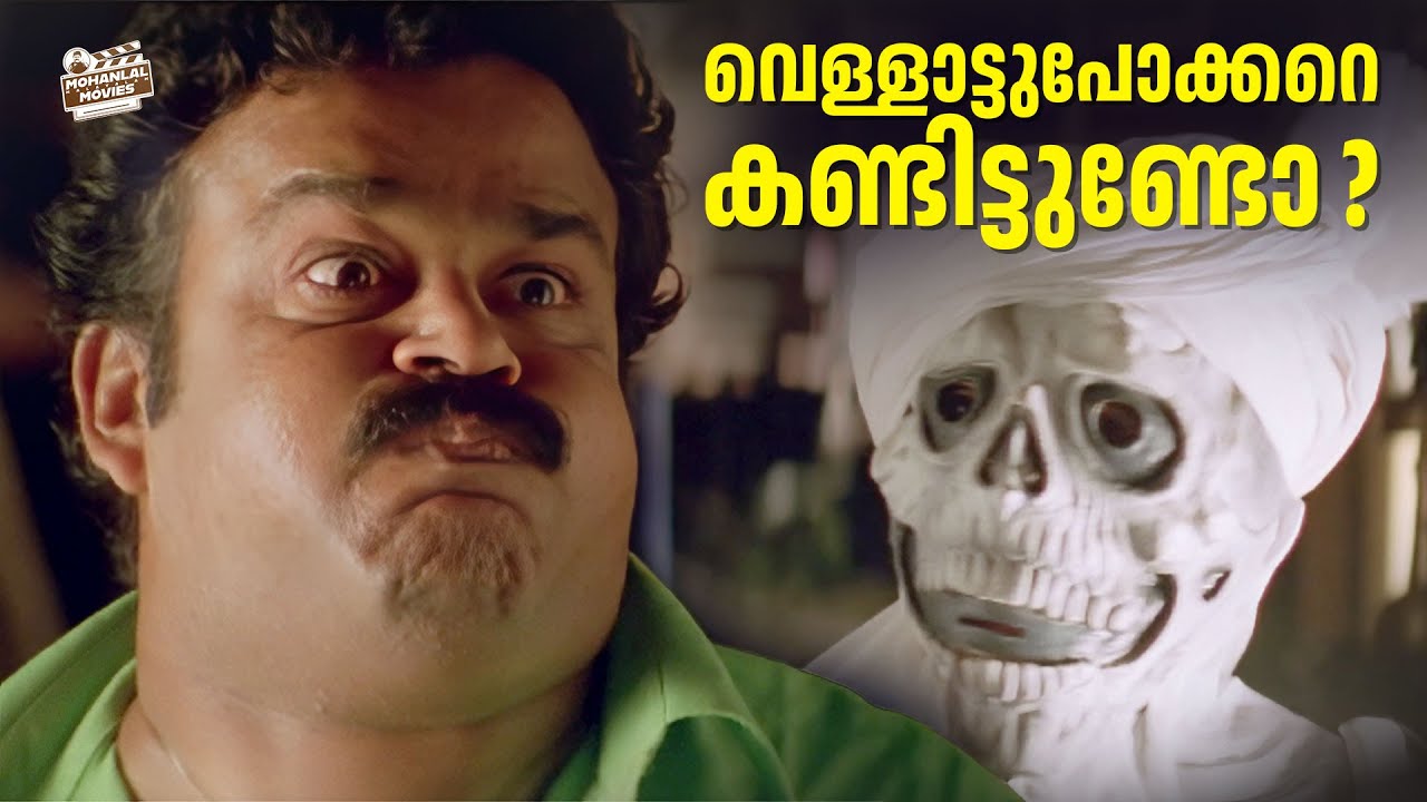 വെള്ളാട്ടുപോക്കറെ കണ്ടിട്ടുണ്ടോ ? | Kilichundan Mampazham Movie Scene | Mohanlal | Salim Kumar