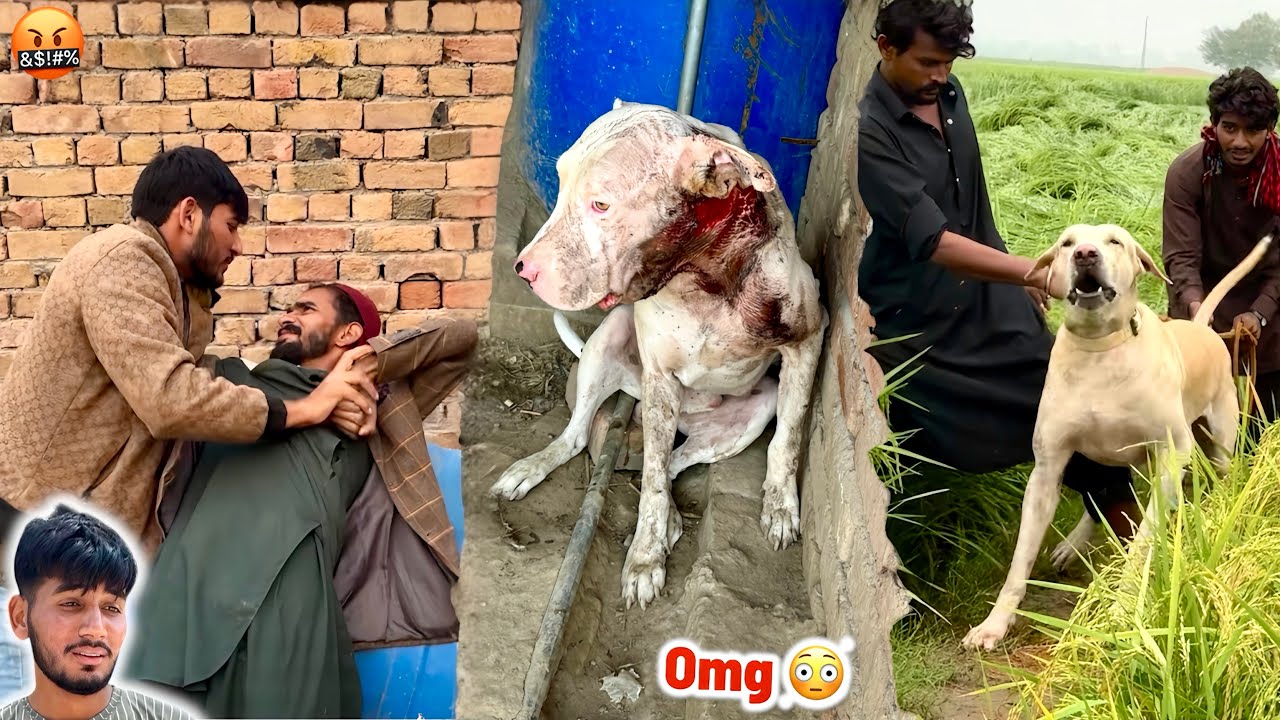 Gabbar Badmash Ka Hamza Ny Phadda Krva Diya 😱