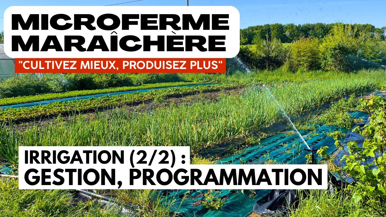 Irrigation (2/2) : tout savoir sur la gestion et la programmation