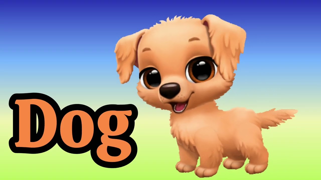 Learn Everything for Kids 🌈 | Transport, Colours, Animals, Fruits, Veggies & More!