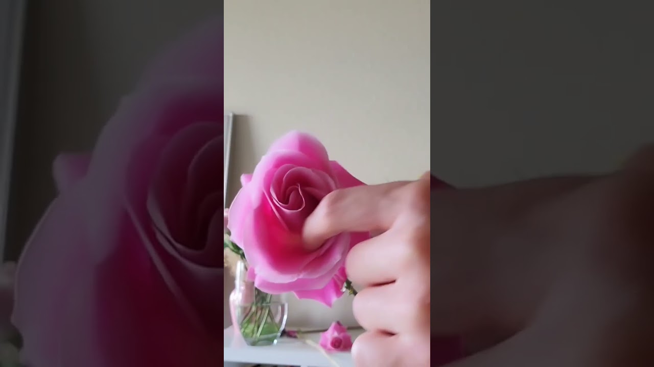 How to open up a rose quickly