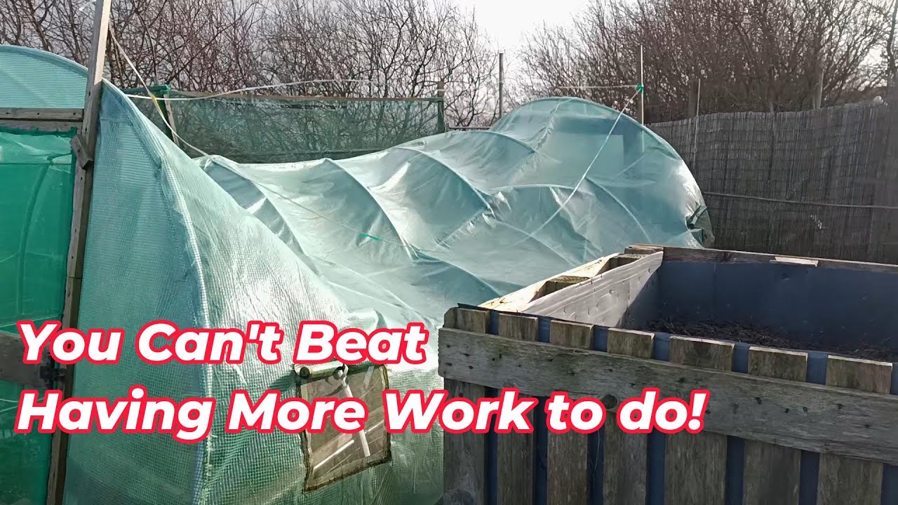Reviving Alan's Allotment: A Fresh Start!