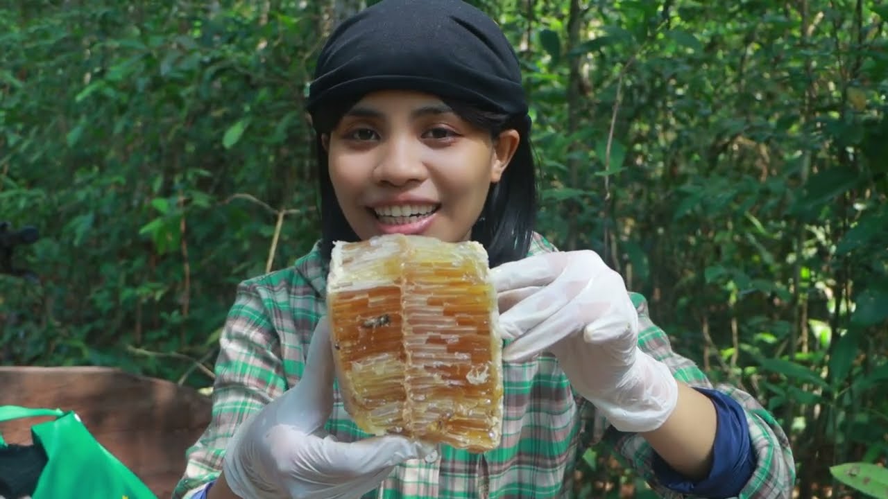 បើអ្នកចង់យកឃ្មុំ ដោយមិនត្រូវឃ្មុំខាំ ត្រូវមើលវីដេអូនេះ!