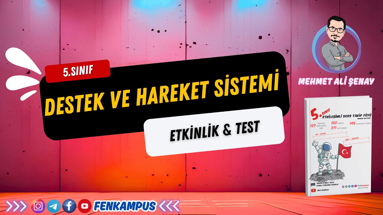 5.3.2. Destek ve Hareket Sistemi Etkinlik & Test Sayfası