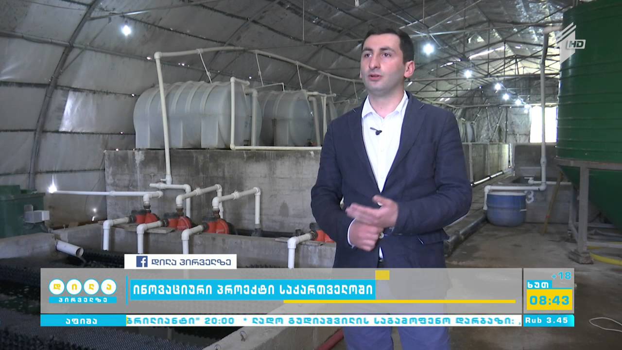 რა პირობებში უნდა გავზარდოთ თევზი და რა სახით არის მისი მიღება უსაფრთხო