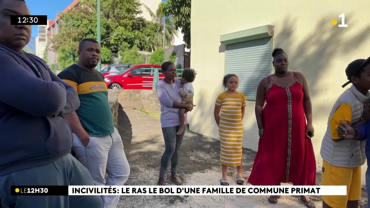 Saint-Denis : jets de galets, exhibitionnisme et insultes à Primat, les habitants exaspérés