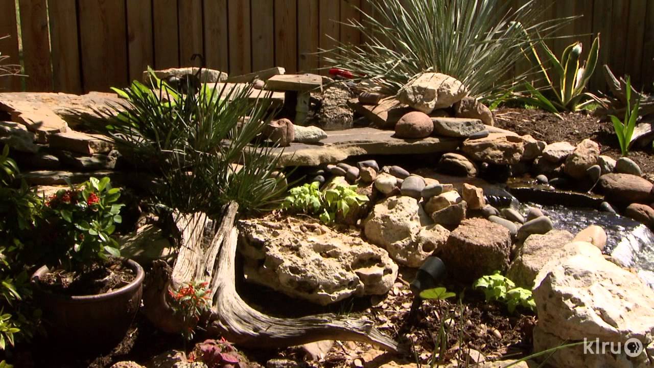 Ponds replace lawn | Laura and Travis McGarraugh  | Central Texas Gardener