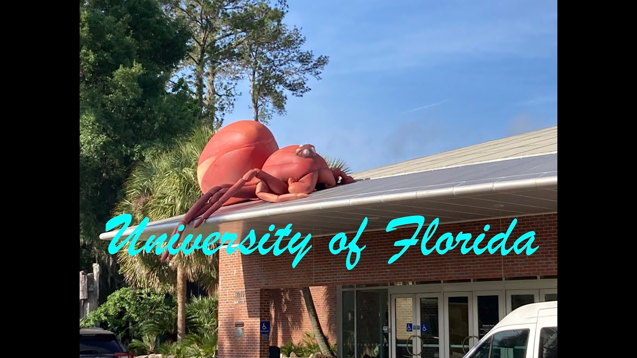 走遍美国之佛罗里达大学/Travel series in USA--University of Florida