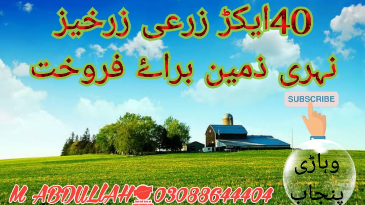 40 acar agriculture land for sale in vehari punjab زرعی زرخیز نہری زمین