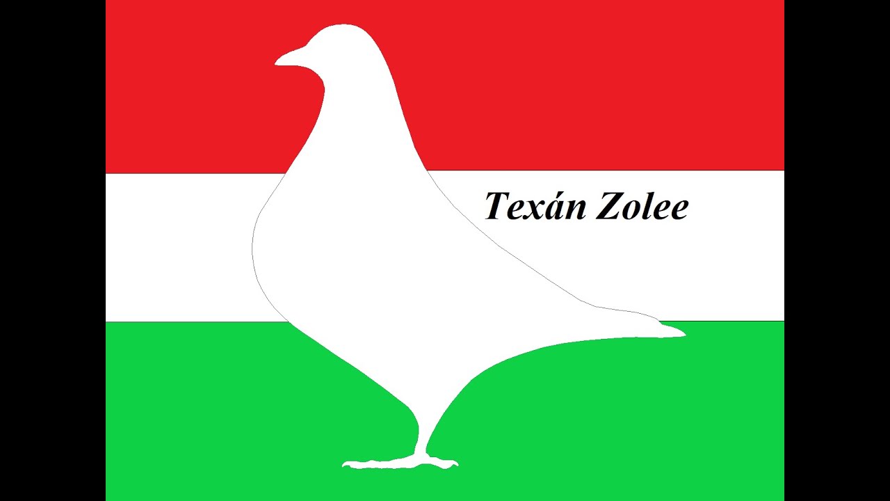 Fiatal Texánok 2025    Young Texans 2025