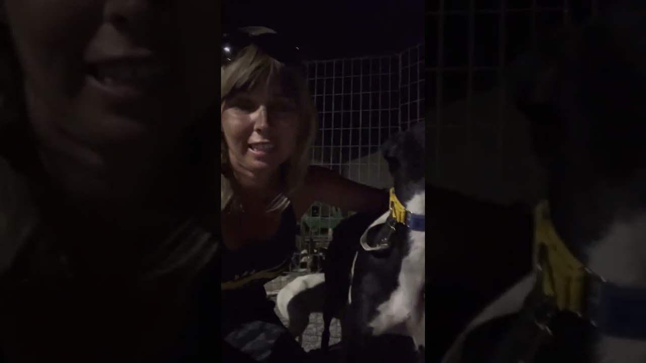 Difficult rescue of mum and pups in Andalusia!
