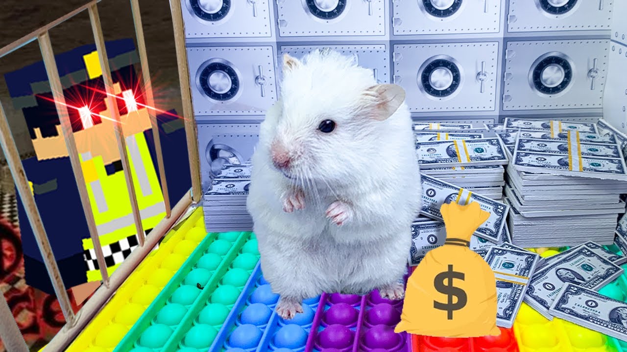 🐹 Hamster Bank Robbery and Escapes Awesome Maze 🐹 Hamster Story
