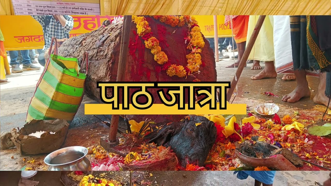 पाठ जत्रा/path jatra/बस्तर दशहरा जगदलपुर/bastar dashhara/दशहरा/दशहरा 2024 बस्तर जगदलपुर/ठूरलु खोटला/
