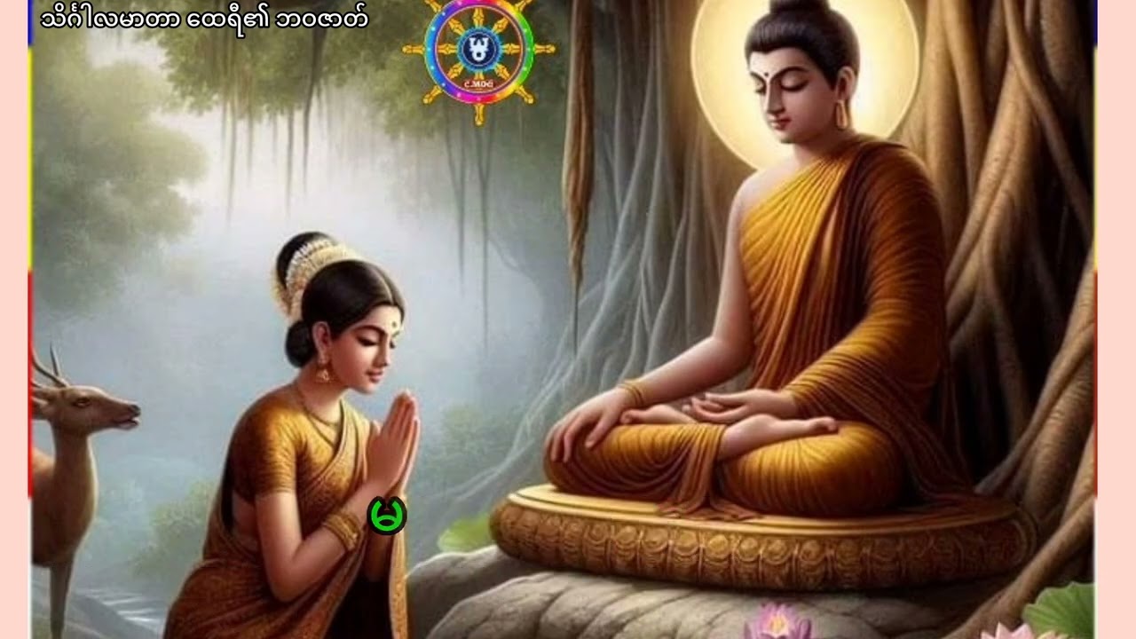 သိင်္ဂါလမာတာ ထေရီ၏ ဘဝဇာတ် | ဒေါက်တာ နန္ဒမာလာဘိဝံသ