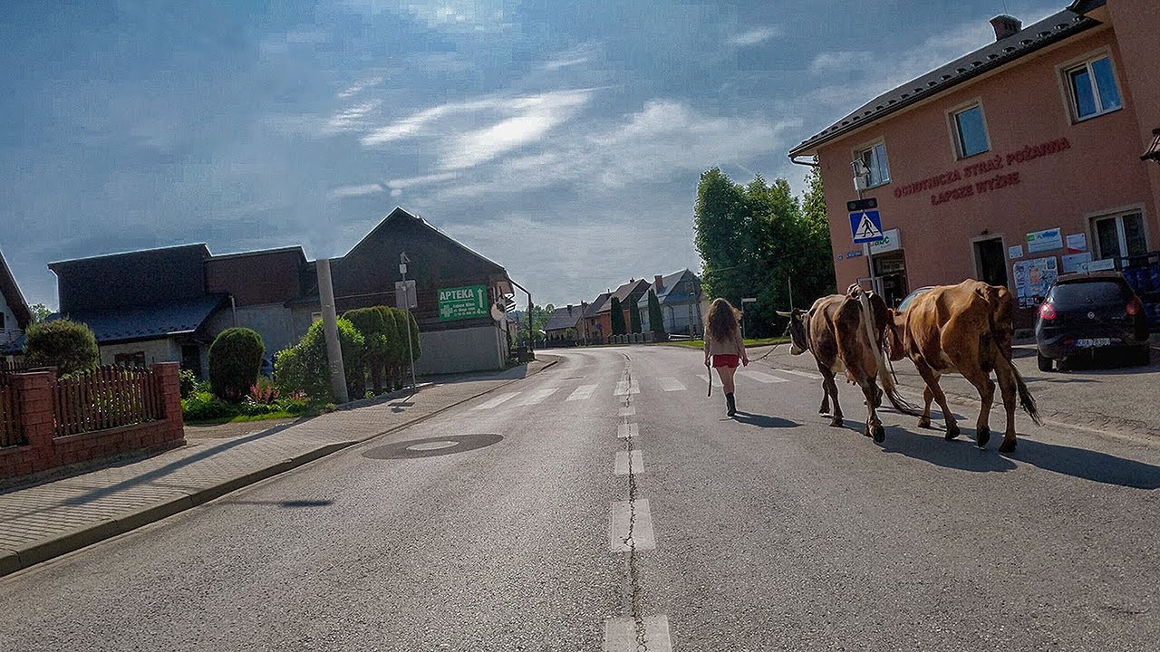 Oszukać przeznaczenie w Kacwinie