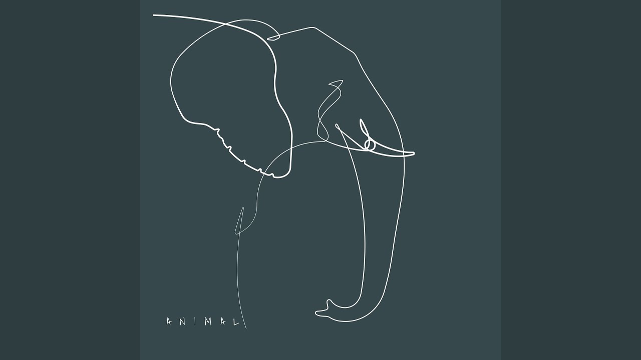 Animal