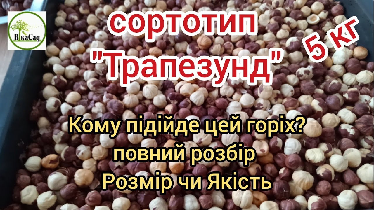 Сортотип 